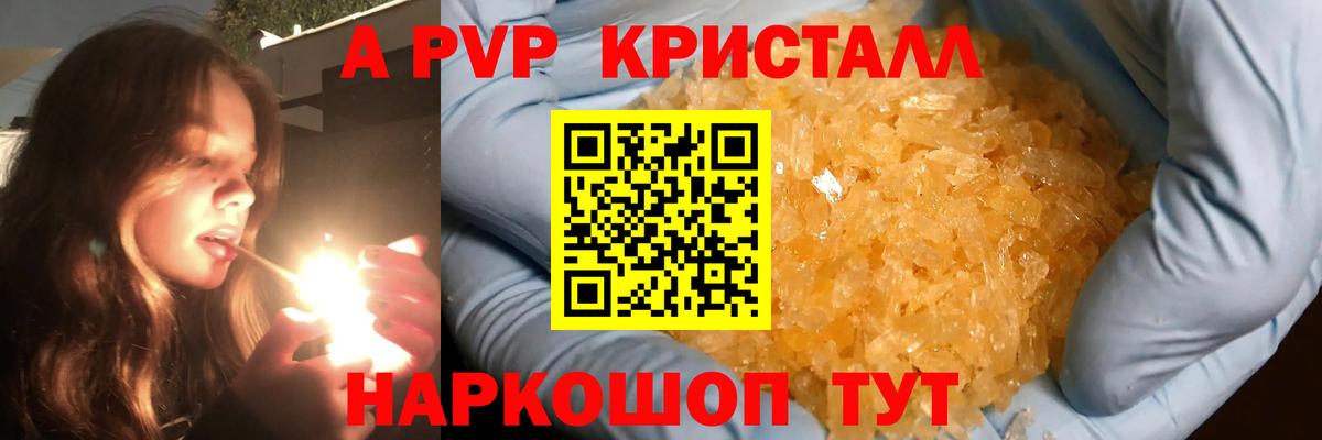 Alfa_PVP СК Жуковский