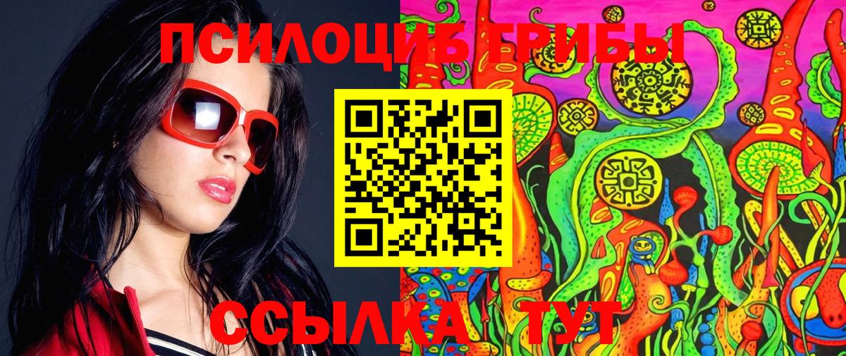 Галлюциногенные грибы прущие грибы  Вход с VPN  Жуковский 